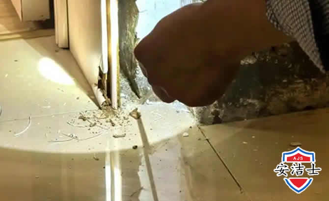 虹口区房屋建筑防治白蚁