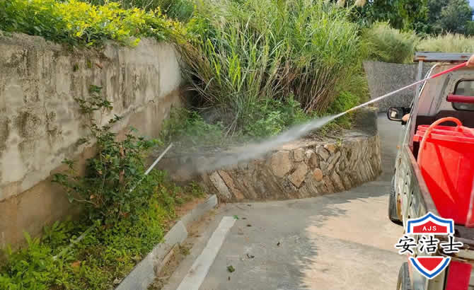 虹口区道路堤坝白蚁防治