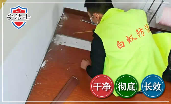 虹口区除四害现场