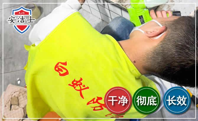 虹口区白蚁根治现场